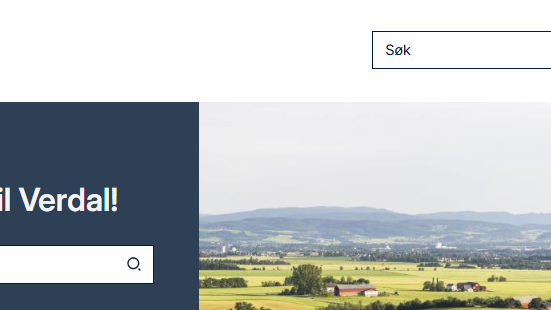 Lenke til artikkel: Nettside i ny drakt!