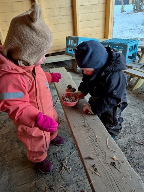 Samarbeid - Klikk for stort bilde